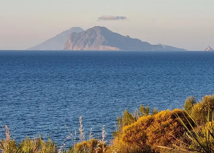 Di Daniela Saltalamacchia