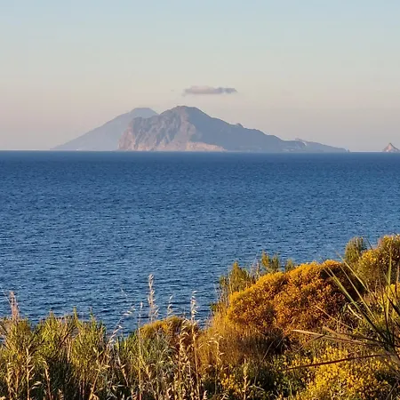 Di Daniela Saltalamacchia